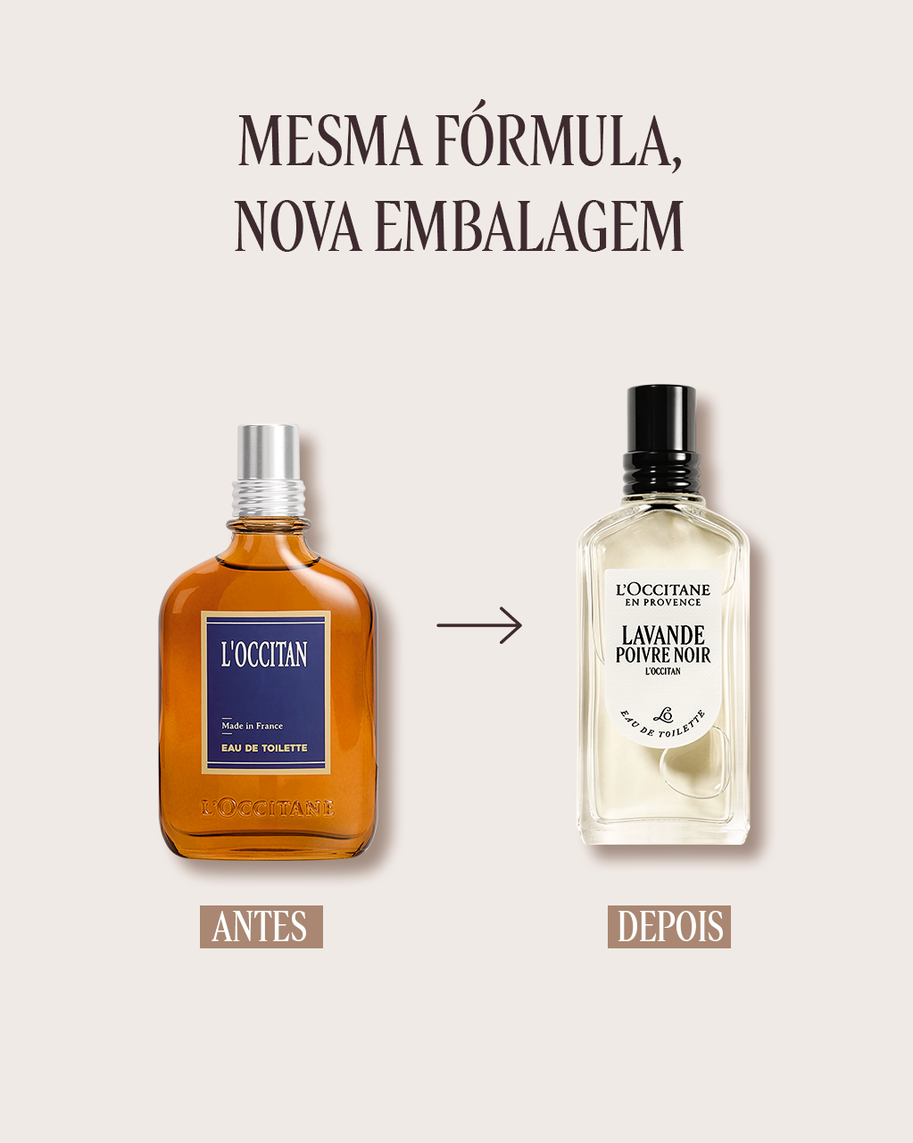 Eau de Toilette Lavande Poivre Noir 50mL | L'Occitane en Provence